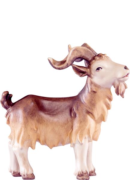 Ziegenbock Artis Ziegenbock Artis