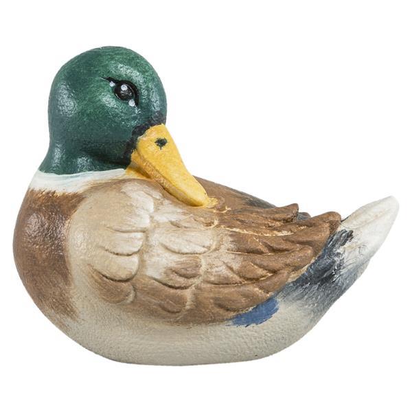 Erpel schlafend Erpel schlafend