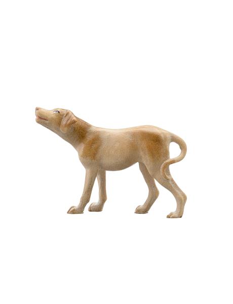 Hund Pointer Hund Pointer