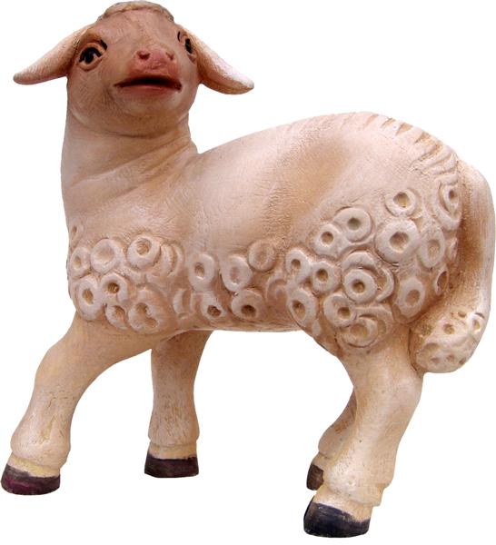 Lamm schauend