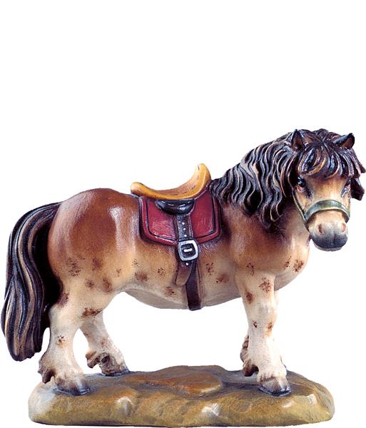 Pony