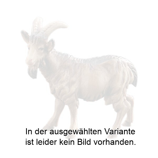 Ziege Ziege