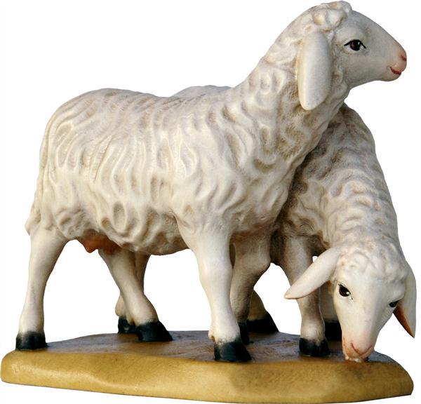 Schafpaar stehend