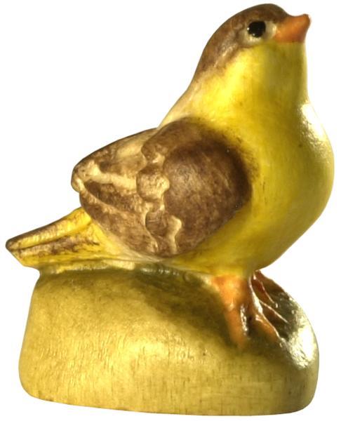 Vogel Kopf oben