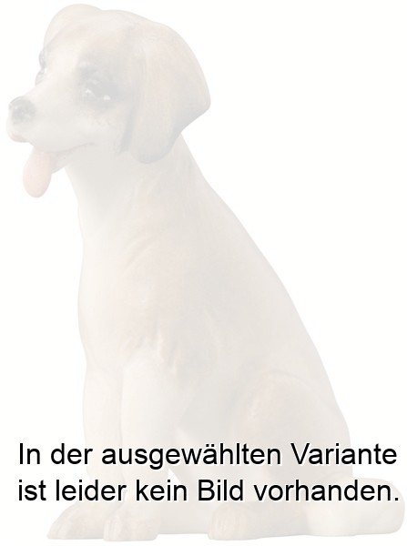Hund modern Hund modern