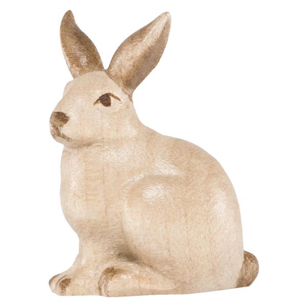 Hase