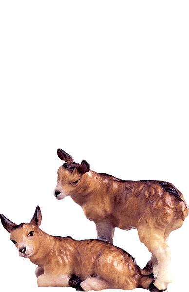 Kitzgruppe Kitzgruppe