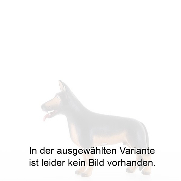 Schäferhund Schäferhund