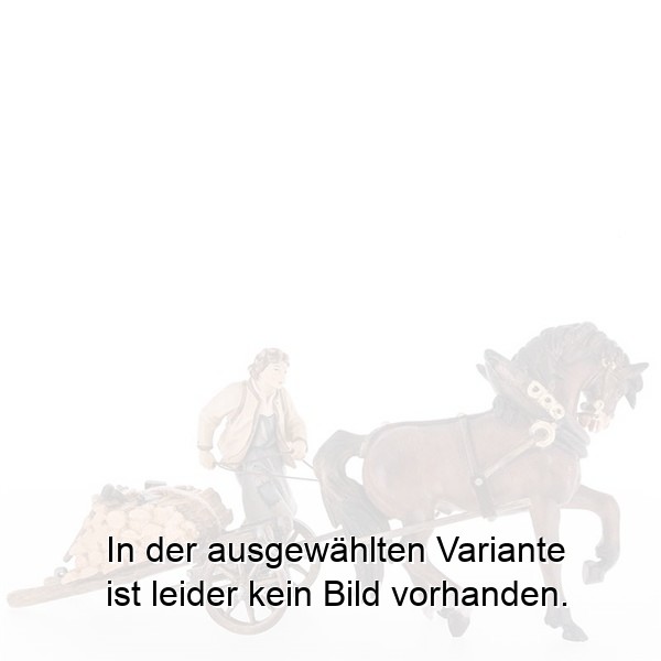 Bauer mit Pferd und Karren Bauer mit Pferd und Karren