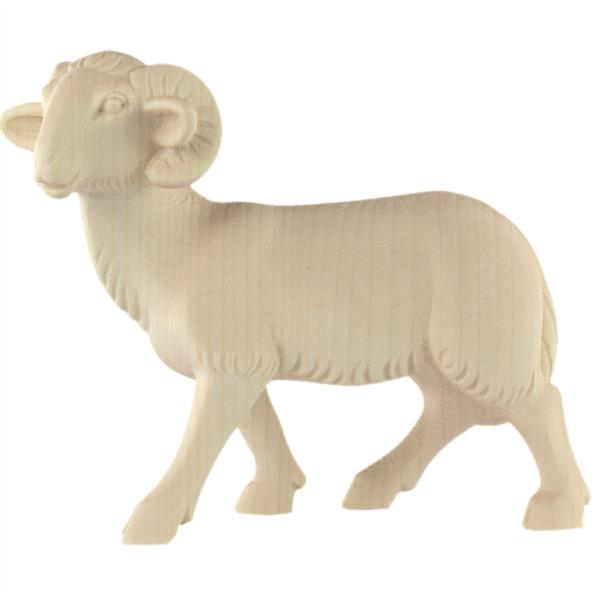 Schafbock Schafbock