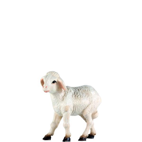 Schaf stehend links Schaf stehend links