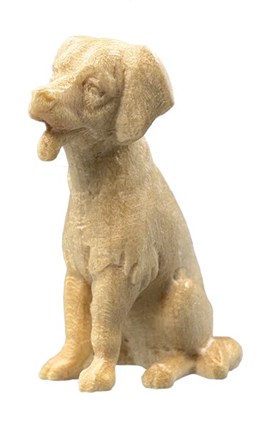 Hund modern Hund modern