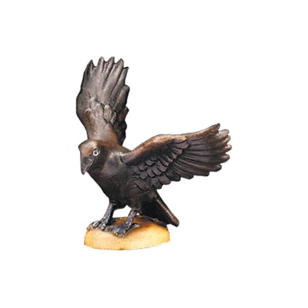 Rabe mit offenen Flügeln Rabe mit offenen Flügeln