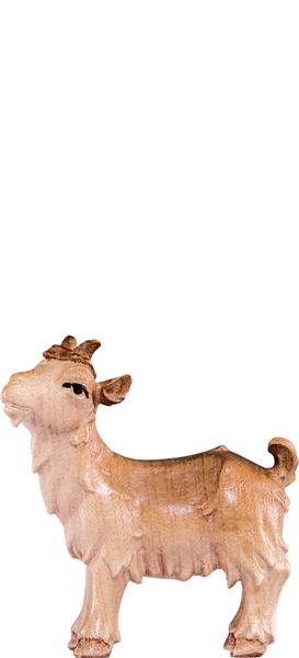 Kitz Artis Kitz Artis