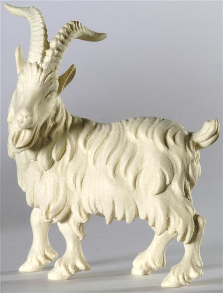 Ziegenbock Ziegenbock