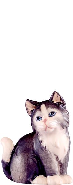 Katze Artis grau