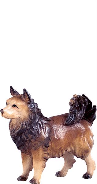 Spitzhund