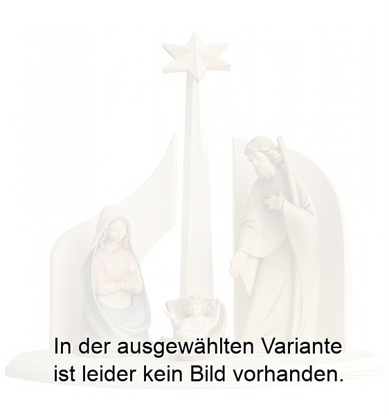 Stall mit Komet u. Hl. Familie Morgenstern Stall mit Komet u. Hl. Familie Morgenstern