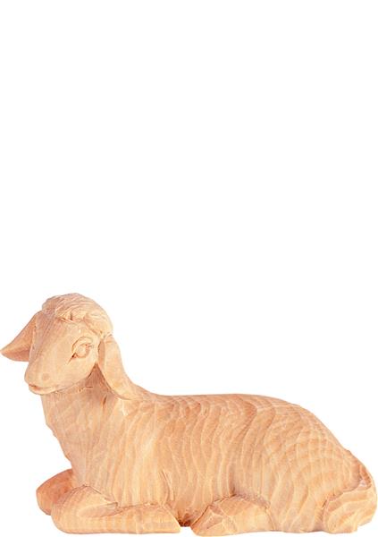 Schaf liegend Schaf liegend