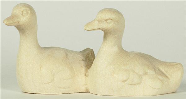 Schwanjungen 2-er Gruppe Schwanjungen 2-er Gruppe