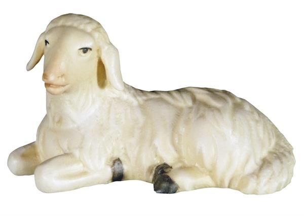 Schaf liegend Schaf liegend