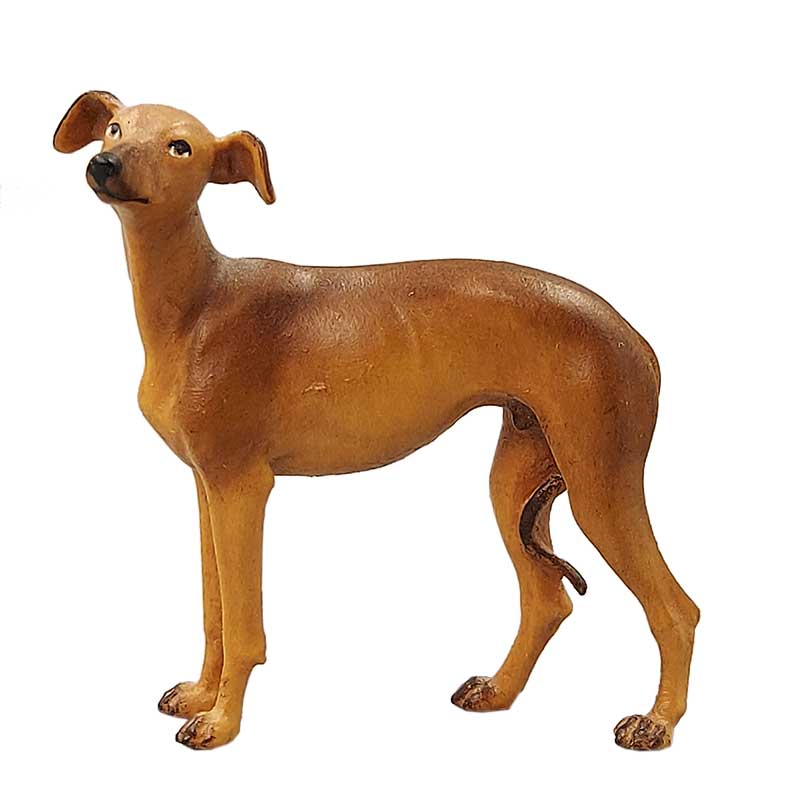Windhund Windhund