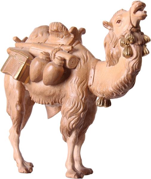 Kamel stehend mit Gepäck