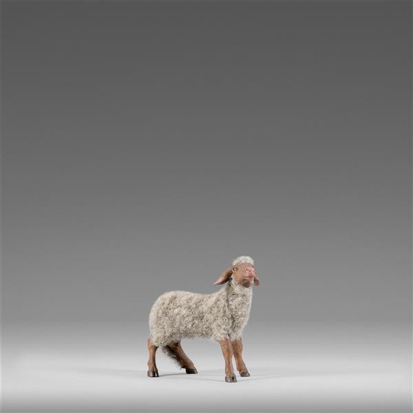 Schaf mit Wolle grau