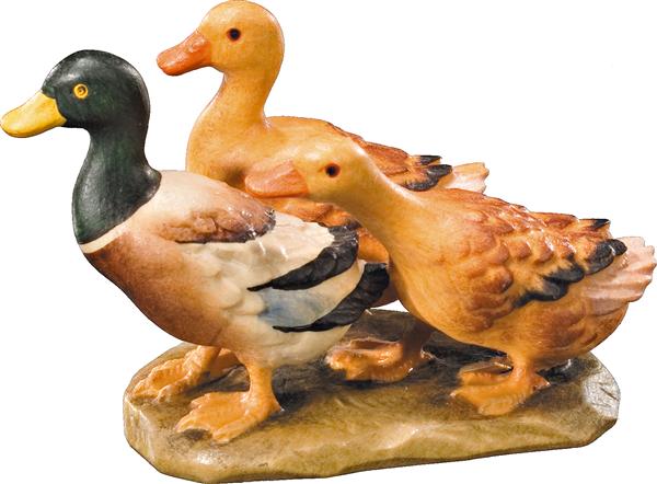 Enten 3-er Gruppe