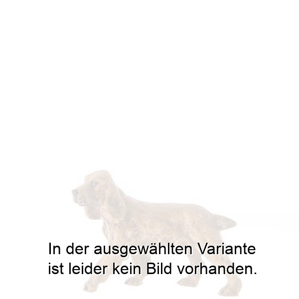 Cockerspaniel Cockerspaniel