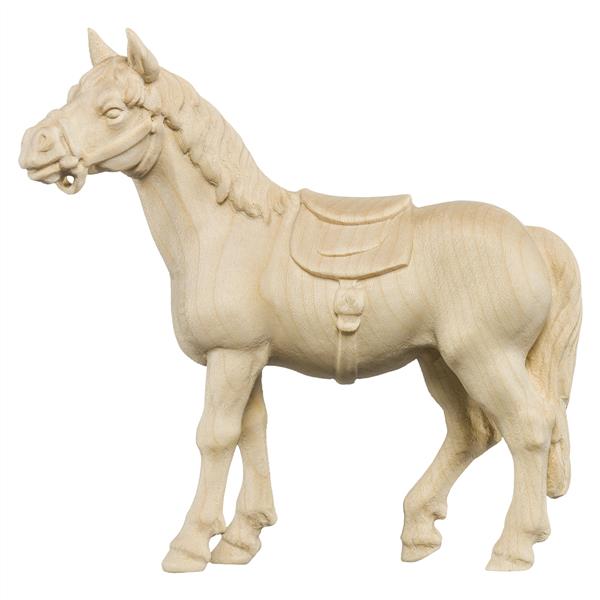 Pferd weiß Pferd weiß