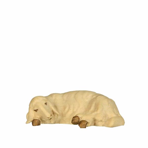 Schaf liegend Schaf liegend