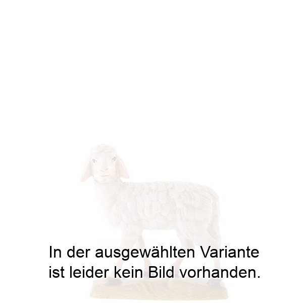 Schaf