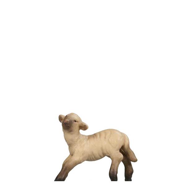 Lamm springend SCHWARZ-WEIß Lamm springend SCHWARZ-WEIß