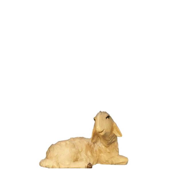 Schaf liegend Schaf liegend