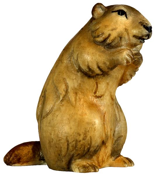 Murmeltier stehend