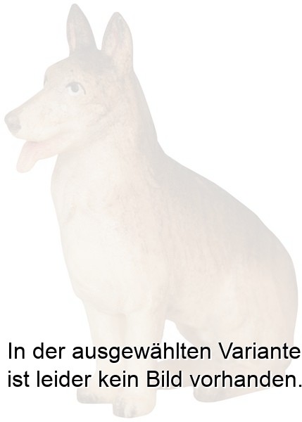 Schäferhund sitzend Schäferhund sitzend
