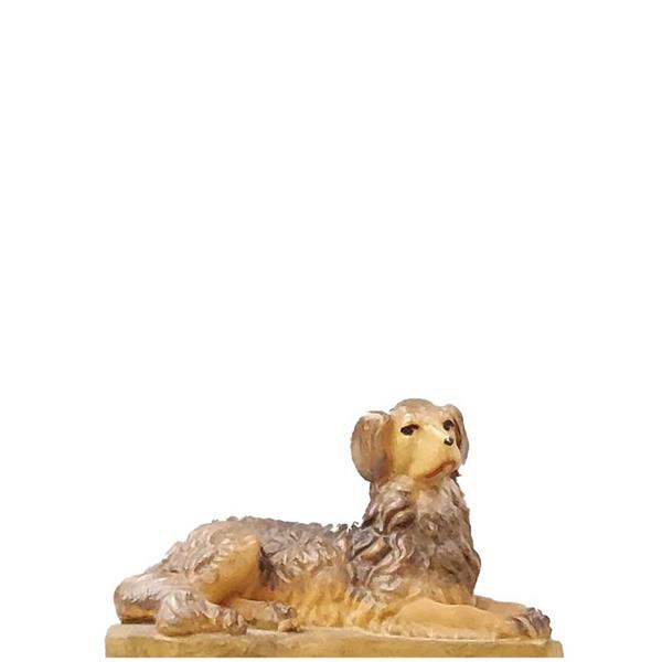 Hund liegend Hund liegend