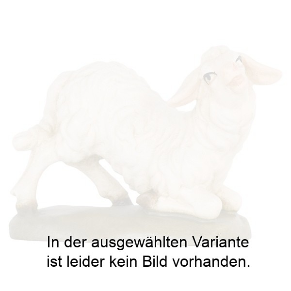 Schaf kniend Schaf kniend