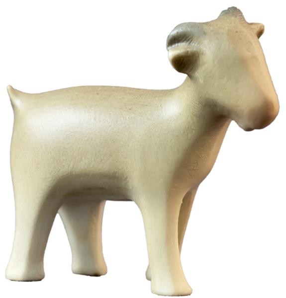 Ziege Ziege