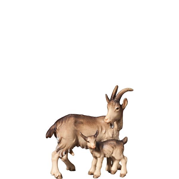 Ziege mit Kitz Ziege mit Kitz