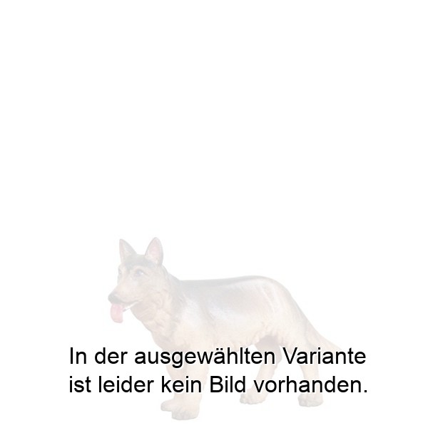 Schäferhund Schäferhund