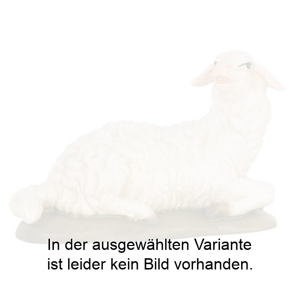 Schaf liegend Schaf liegend