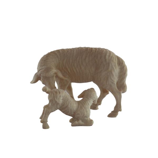 Schaf mit Lamm Schaf mit Lamm