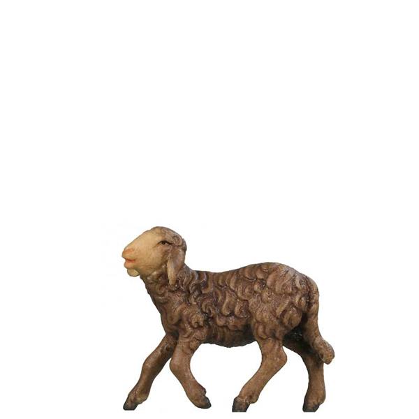 Schaf halbwüchsig SCHWARZ Schaf halbwüchsig SCHWARZ