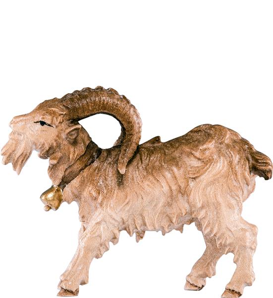 Ziegenbock Ziegenbock
