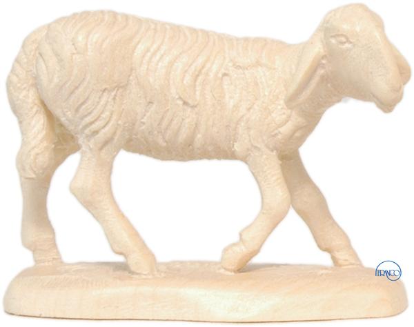 Schaf klein
