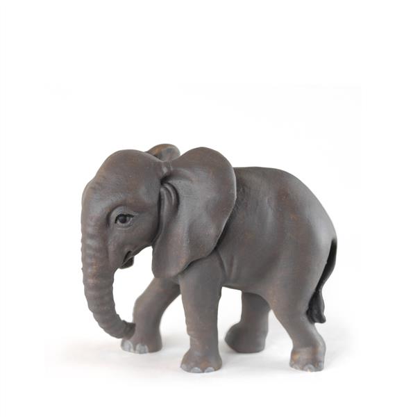 Baby Elefant stehend Baby Elefant stehend