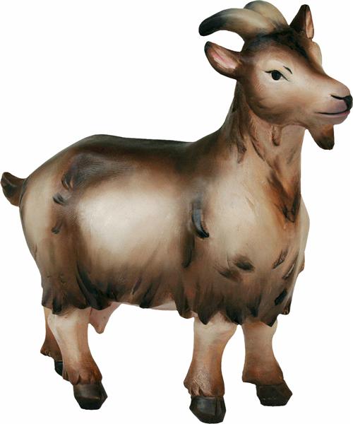 Ziege modern