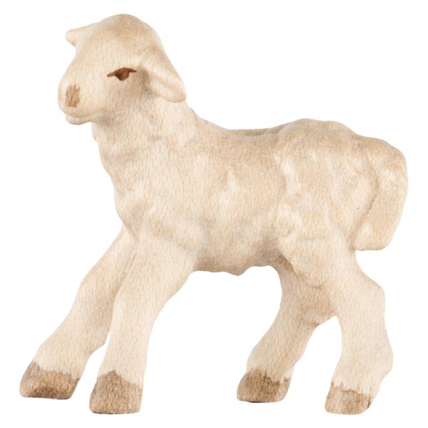 Lamm stehend linksschauend